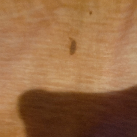 Jelly Roll Tank - Picture 6 of 16